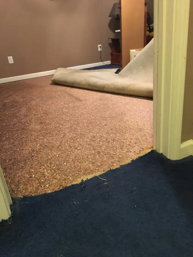 Carpet pad removal revealing water damage during Water Mitigation Services in Henderson